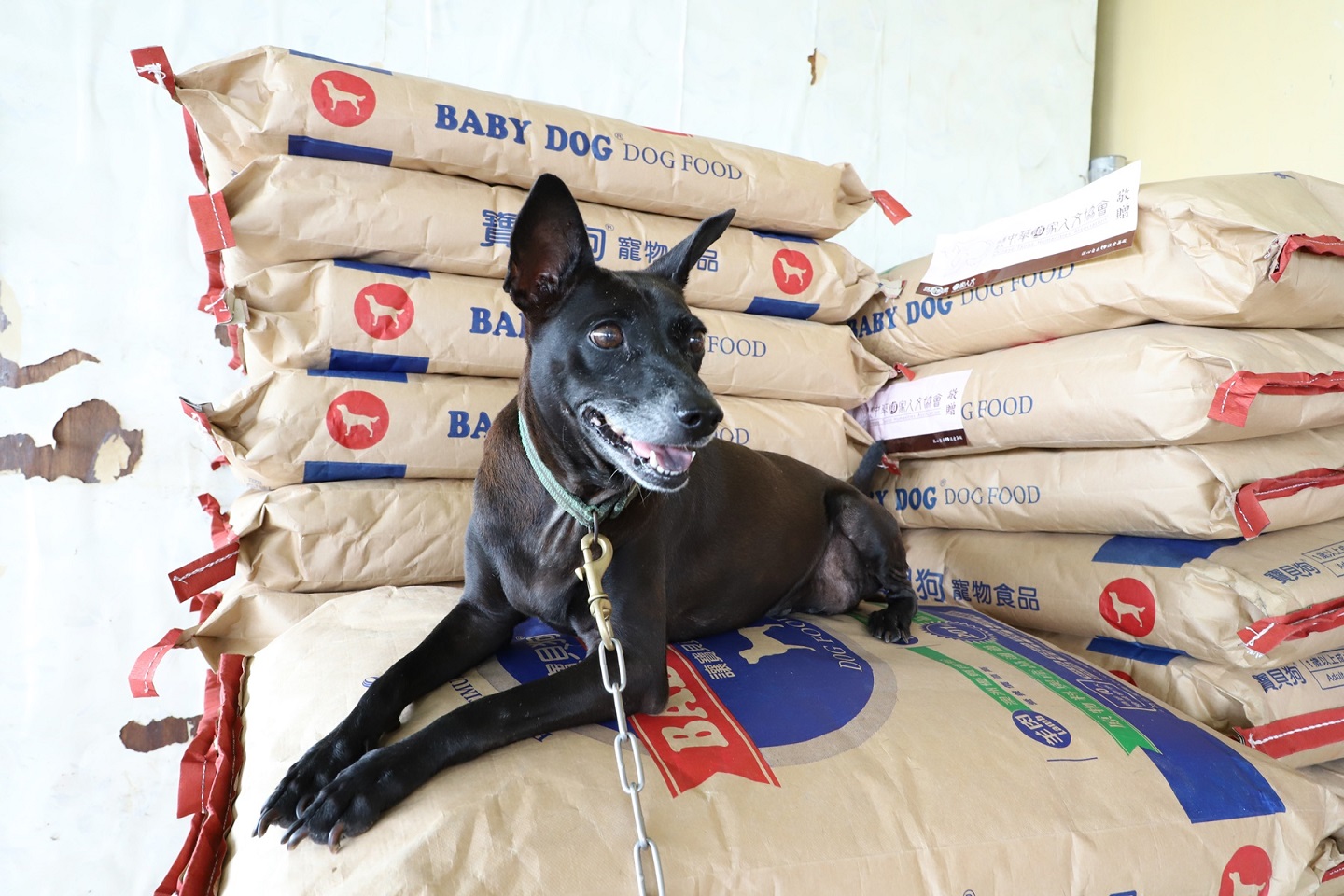 集食協「住」‧「浪」愛延續』高雄市美濃區林媽媽狗園物資捐贈活動