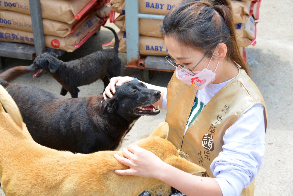 「集糧應援‧浪愛溫飽」  台南市馬媽媽狗園物資捐贈活動